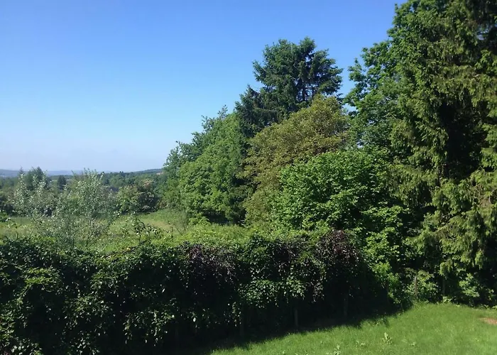 Maison Contemporaine Au Coeur Des Ardennes Belges