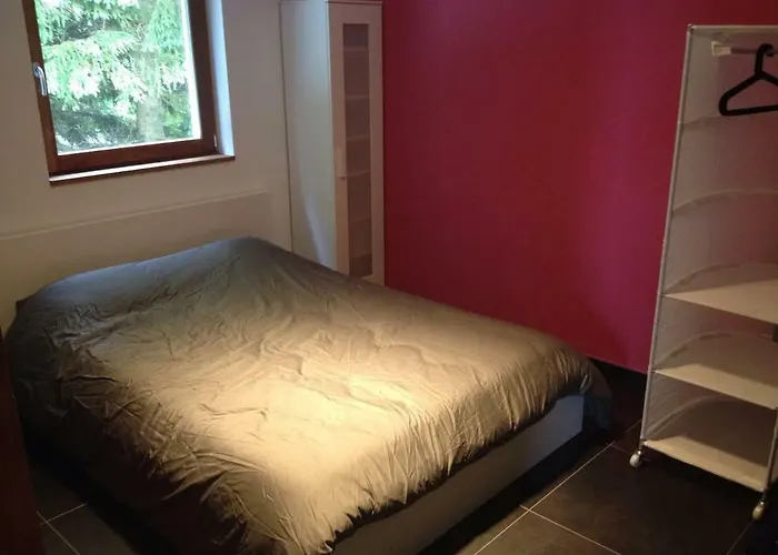 Maison Contemporaine Au Coeur Des Ardennes Belges *