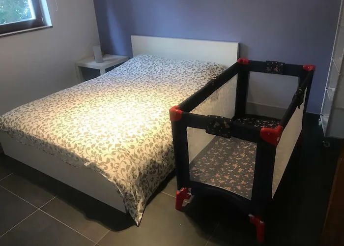 Maison Contemporaine Au Coeur Des Ardennes Belges